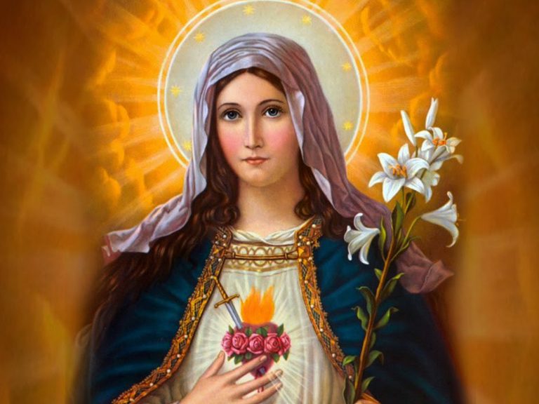 Imagem devocional do Imaculado Coração de Maria com expressão serena e coração iluminado.